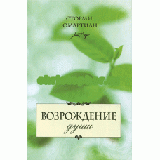 Возрождение души. Сторми Омартиан