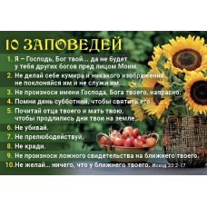 Календарь 2021 карманный "10 Заповедей"