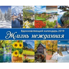 Календарь 2019 Вдохновляющий "Жизнь нежданная". Большой формат